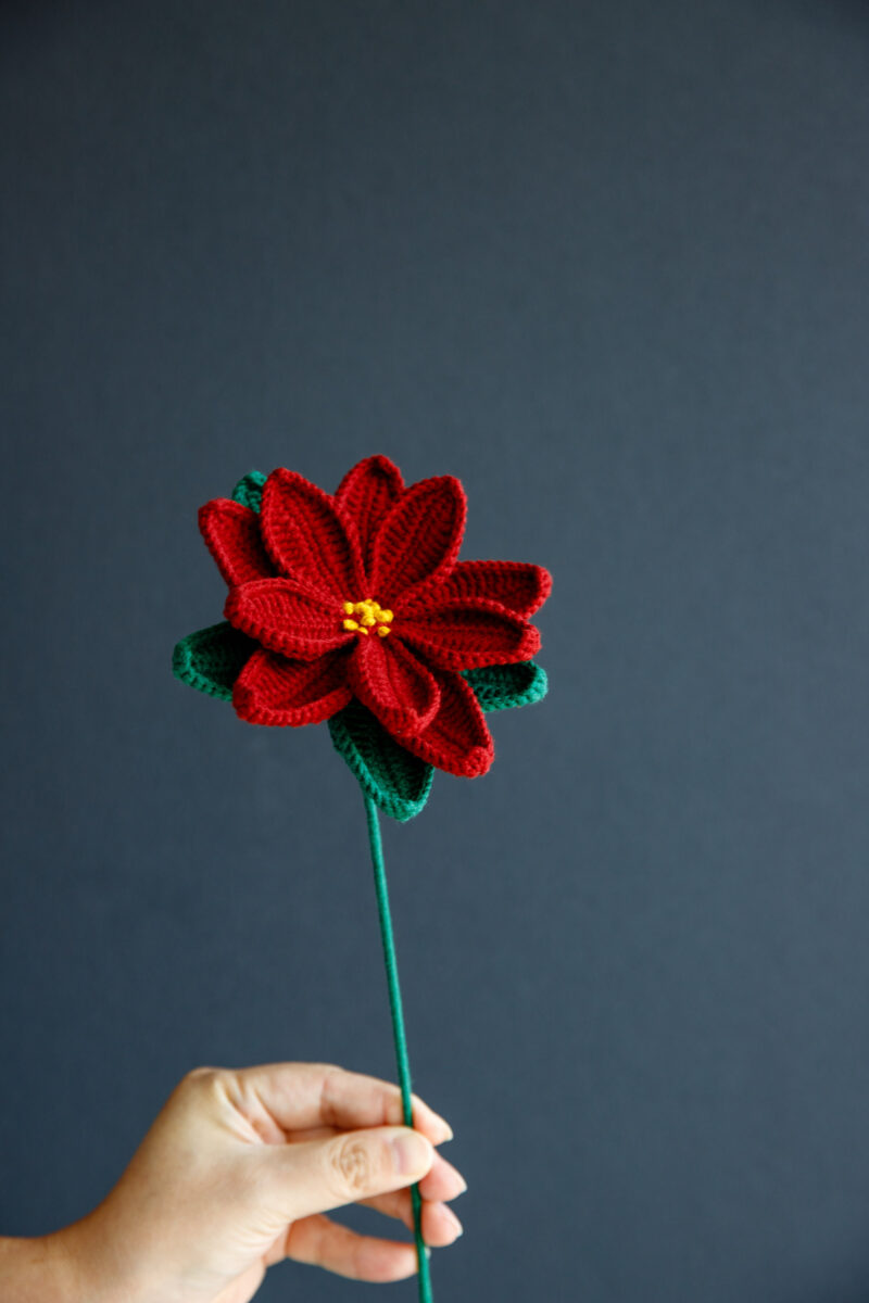 Crochet Poinsettia (Christmas flower)-hookok Crochet Poinsettia (Christmas flower)-hookok
