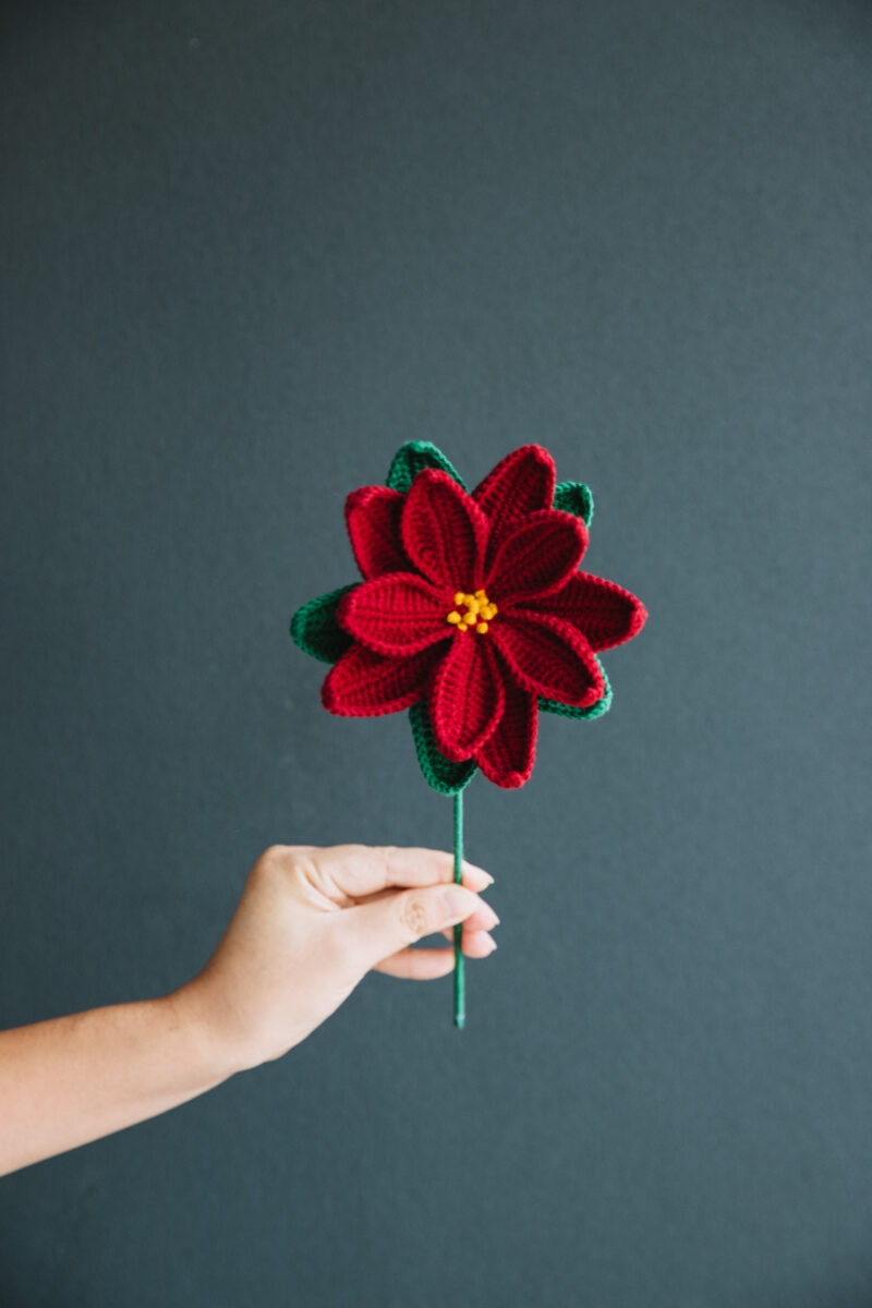 Crochet Poinsettia (Christmas flower)-hookok Crochet Poinsettia (Christmas flower)-hookok