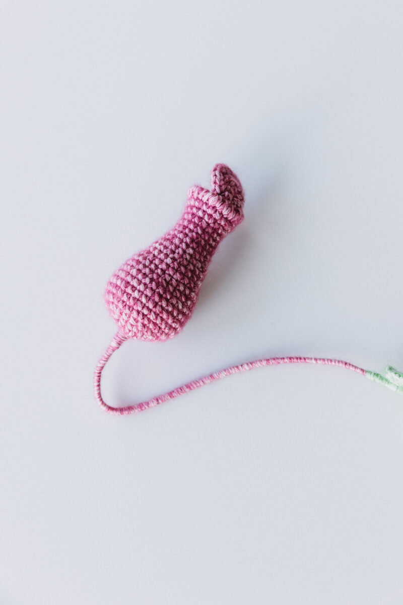 Crochet Nepenthes-hookok Crochet Nepenthes-hookok
