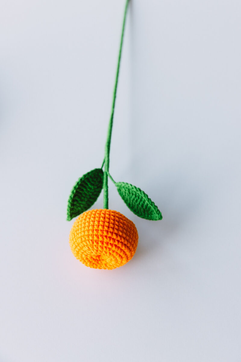 Crochet Orange Branch-hookok Crochet Orange Branch-hookok
