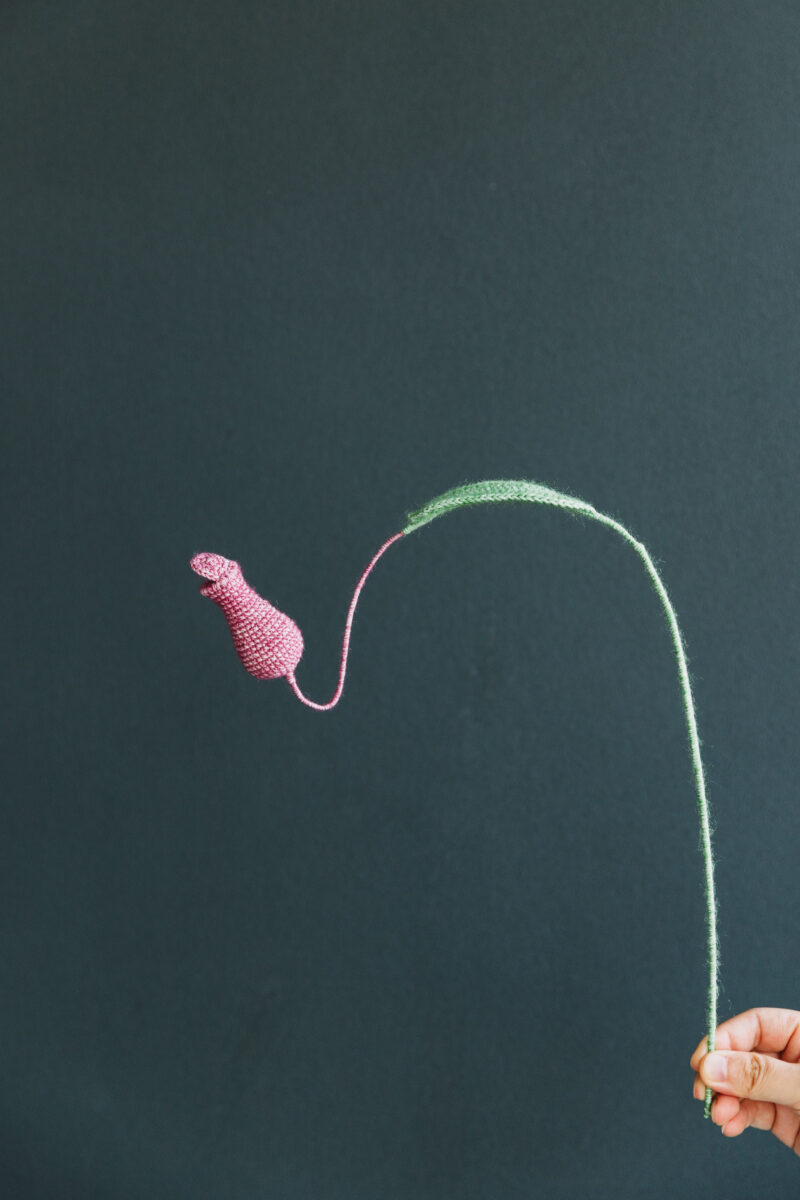 Crochet Nepenthes-hookok Crochet Nepenthes-hookok