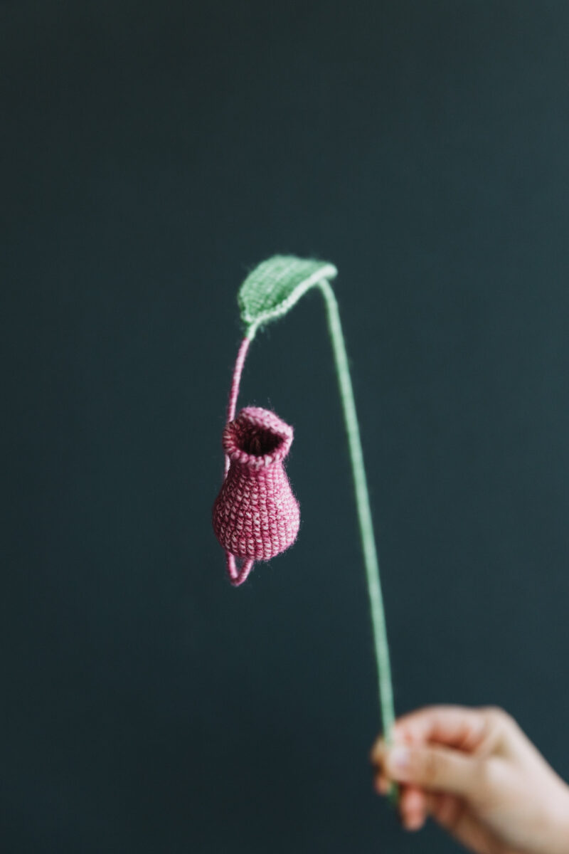 Crochet Nepenthes-hookok Crochet Nepenthes-hookok