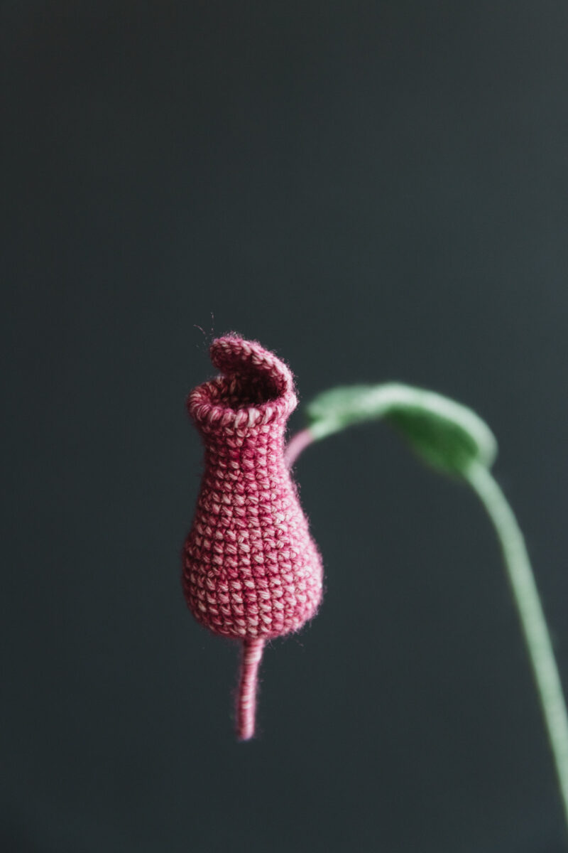 Crochet Nepenthes-hookok Crochet Nepenthes-hookok