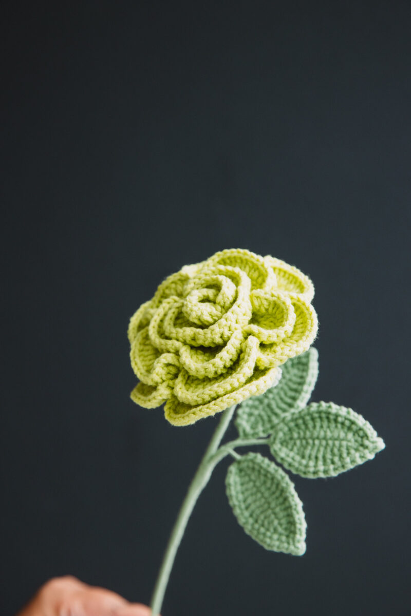 Crochet Raffia Rose-hookok Crochet Raffia Rose-hookok