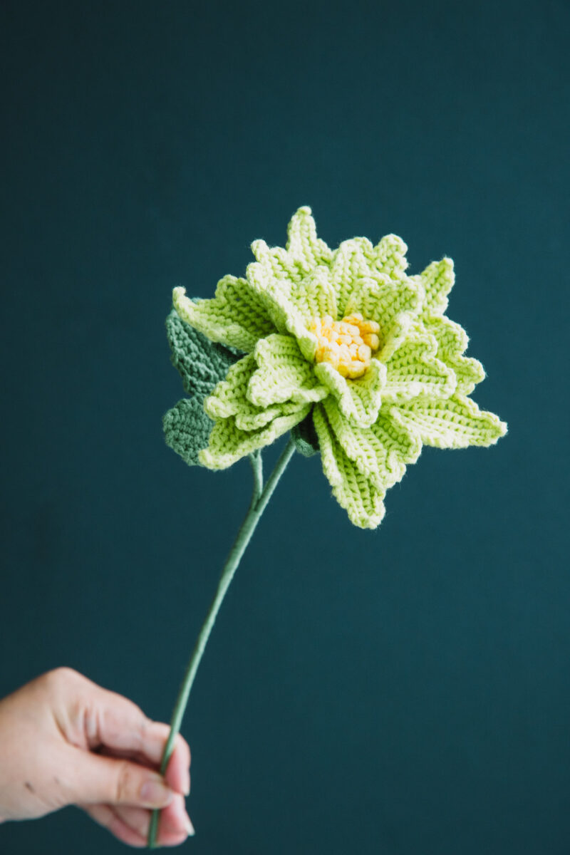 Crochet Couture Rose Tilia-hookok Crochet Couture Rose Tilia-hookok