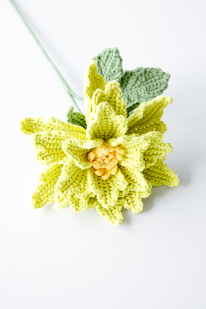 Crochet Couture Rose Tilia-hookok Crochet Couture Rose Tilia-hookok