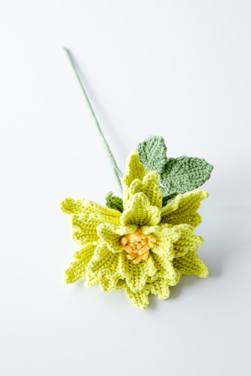 Crochet Couture Rose Tilia-hookok Crochet Couture Rose Tilia-hookok