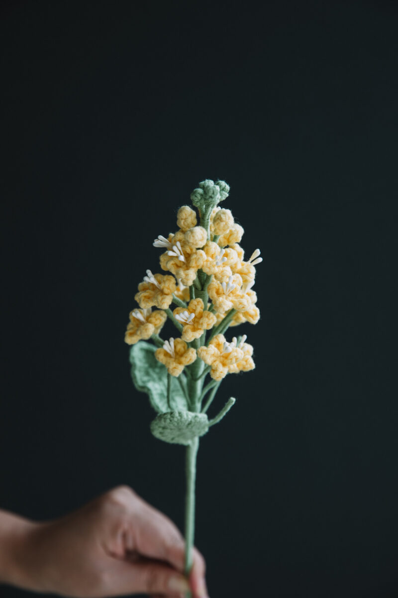Crochet Rapeseed Flower -hookok Crochet Rapeseed Flower -hookok