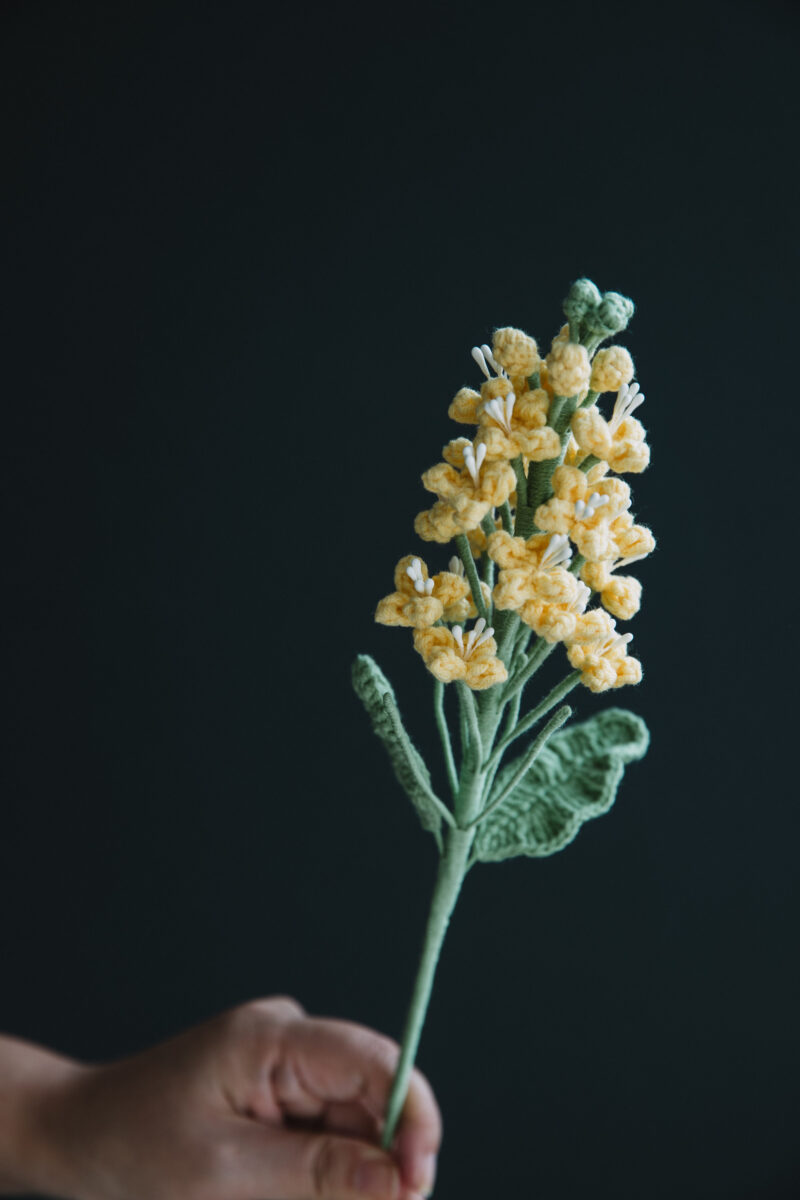 Crochet Rapeseed Flower -hookok Crochet Rapeseed Flower -hookok