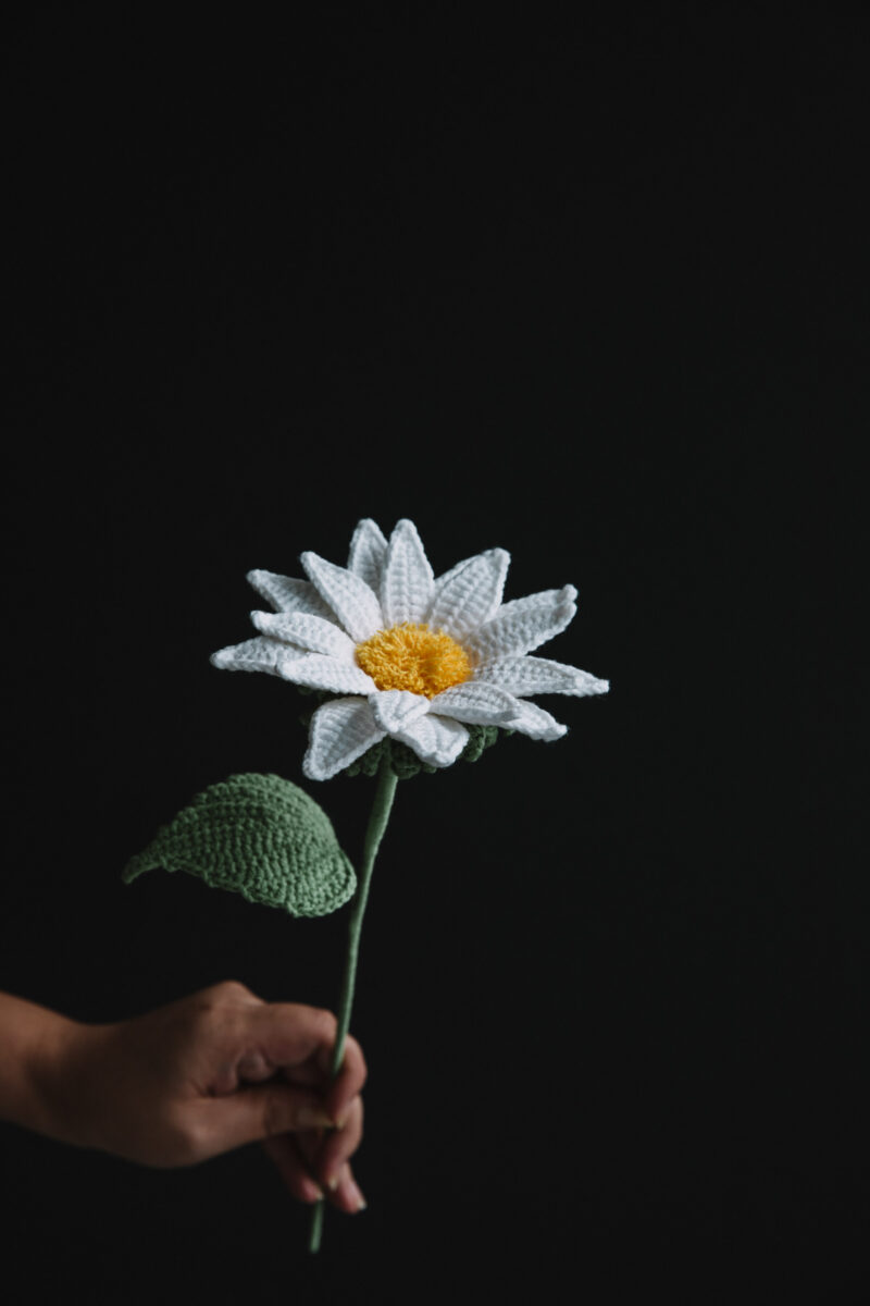 Crochet Oxeye Daisy-hookok Crochet Oxeye Daisy-hookok