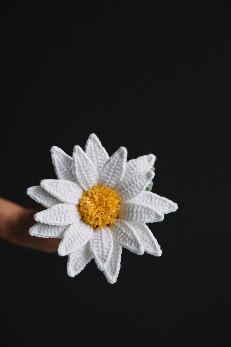 Crochet Oxeye Daisy-hookok Crochet Oxeye Daisy-hookok