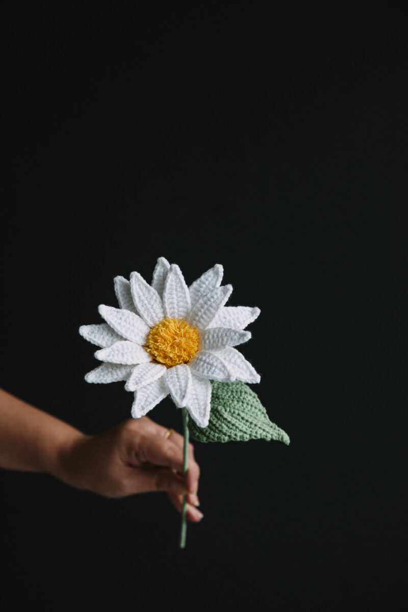 Crochet Oxeye Daisy-hookok Crochet Oxeye Daisy-hookok