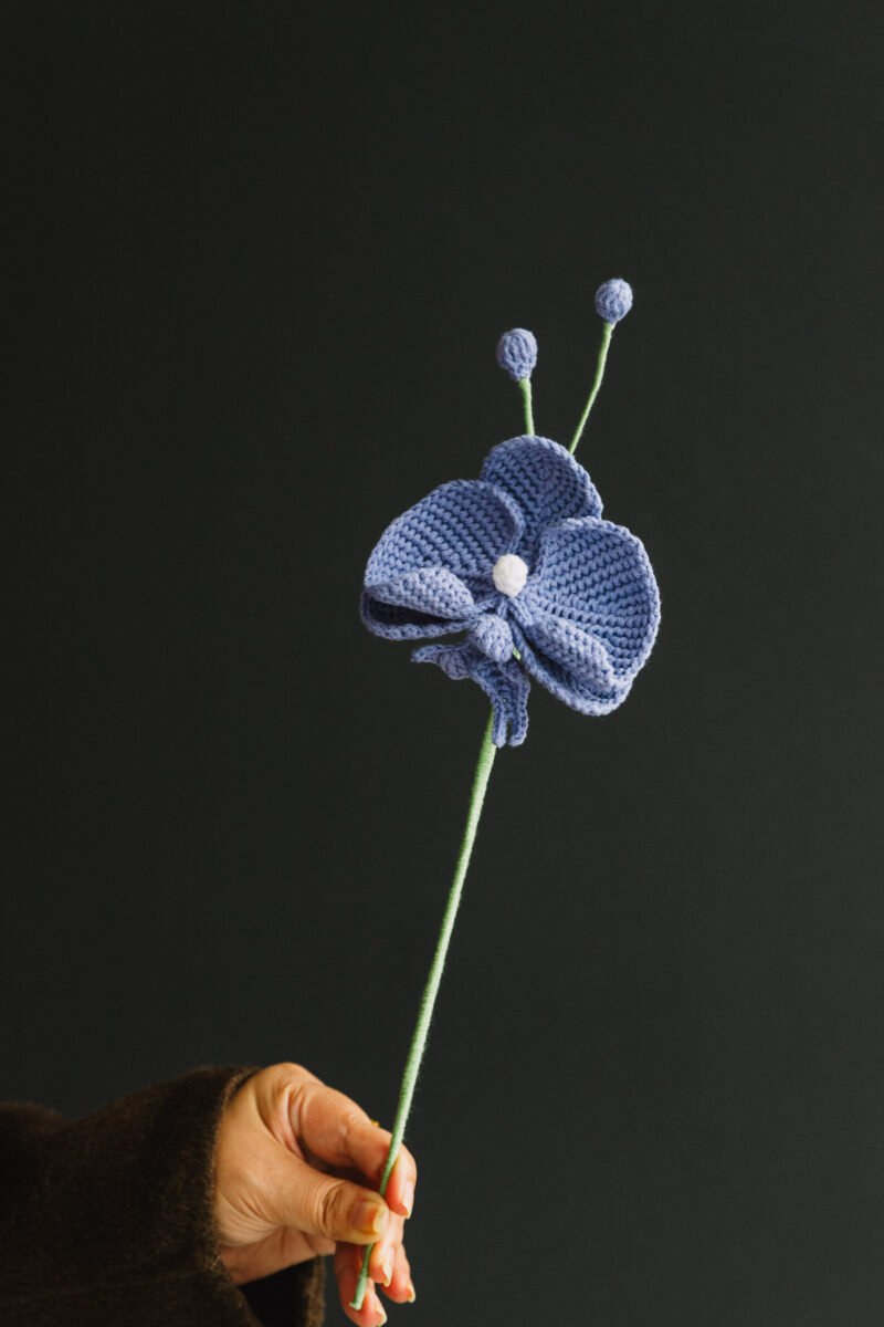 1217products-12 1217products-12