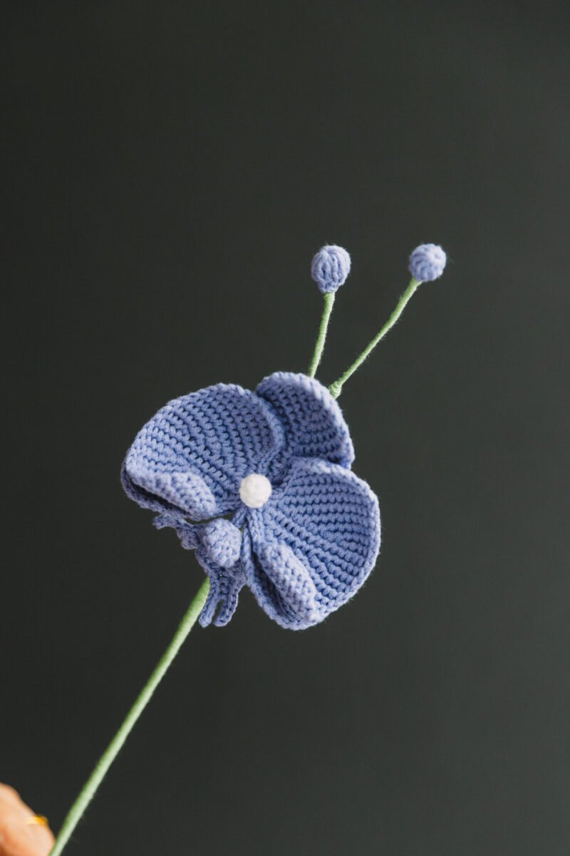 Crochet Phalaenopsis-HOOKOK Crochet Phalaenopsis-HOOKOK