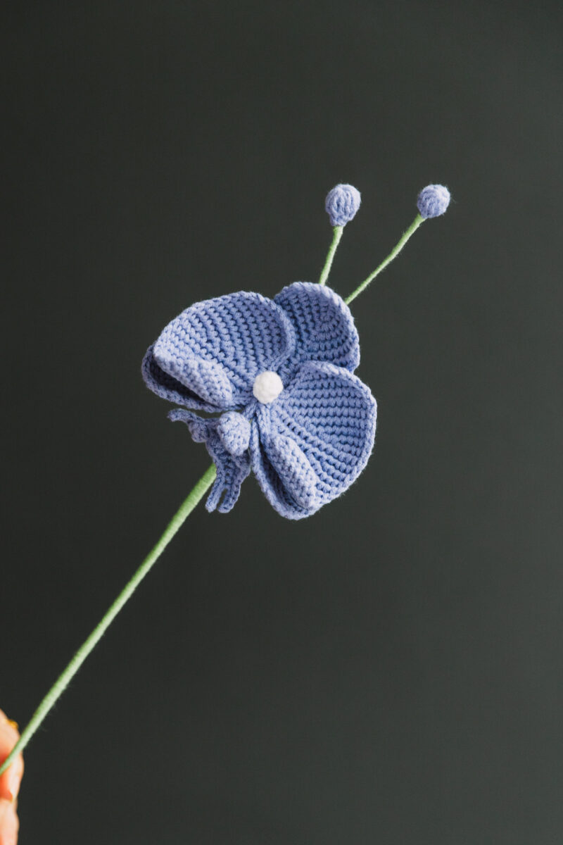 Crochet Phalaenopsis-HOOKOK Crochet Phalaenopsis-HOOKOK