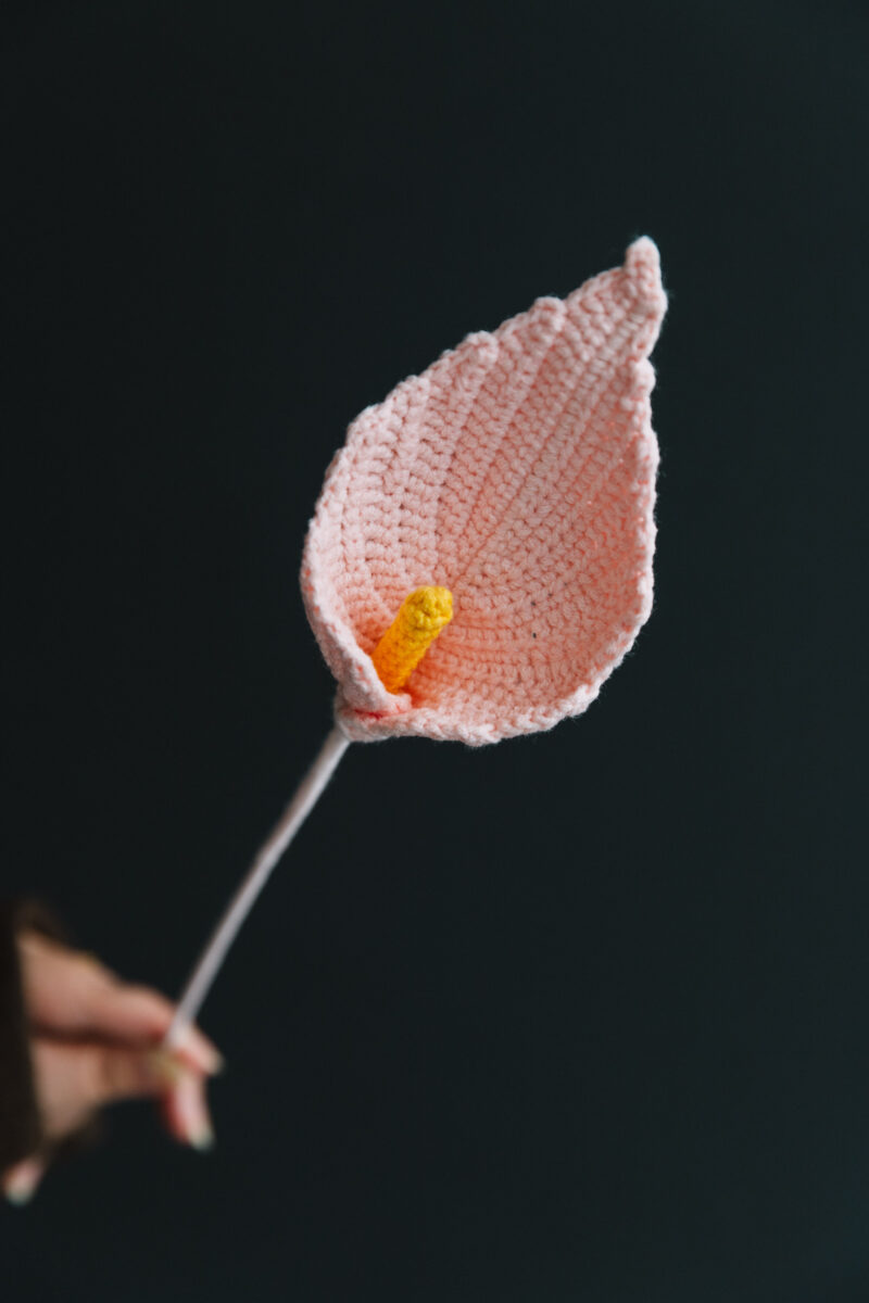 Crochet Anthurium Kit-hookok Crochet Anthurium Kit-hookok