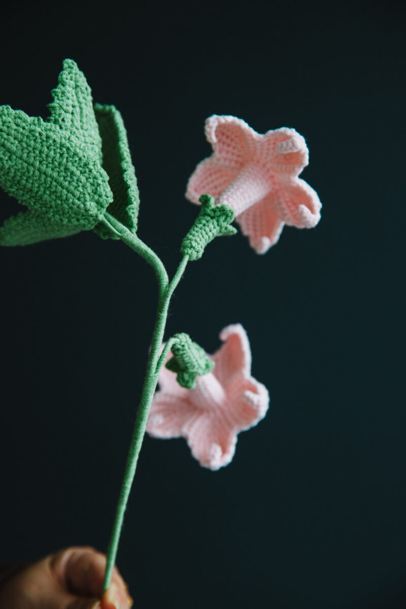 Crochet Datura Flower-HOOKOK Crochet Datura Flower-HOOKOK