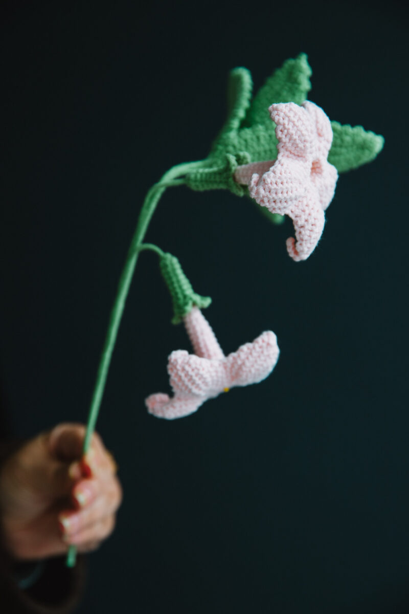 Crochet Datura Flower-HOOKOK Crochet Datura Flower-HOOKOK