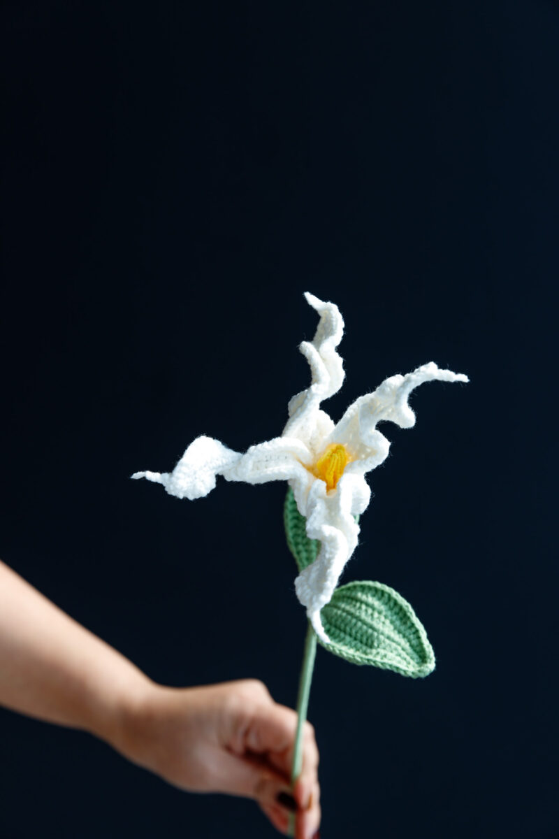 Crochet Clematis Hakuree-hookok Crochet Clematis Hakuree-hookok