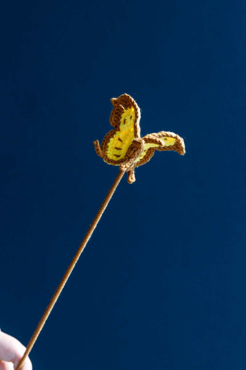 Butterfly (Style 2)-hookok Butterfly (Style 2)-hookok