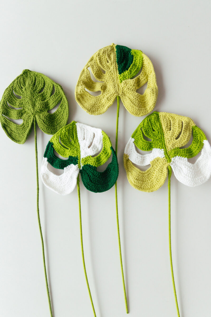 Crochet Variegated Monstera-hookok Crochet Variegated Monstera-hookok