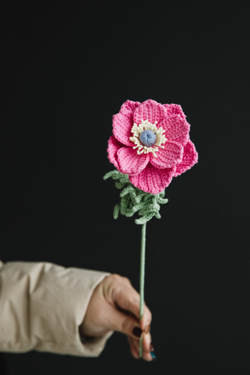 Crochet Anemone “The Bride” -hookok Crochet Anemone “The Bride” -hookok