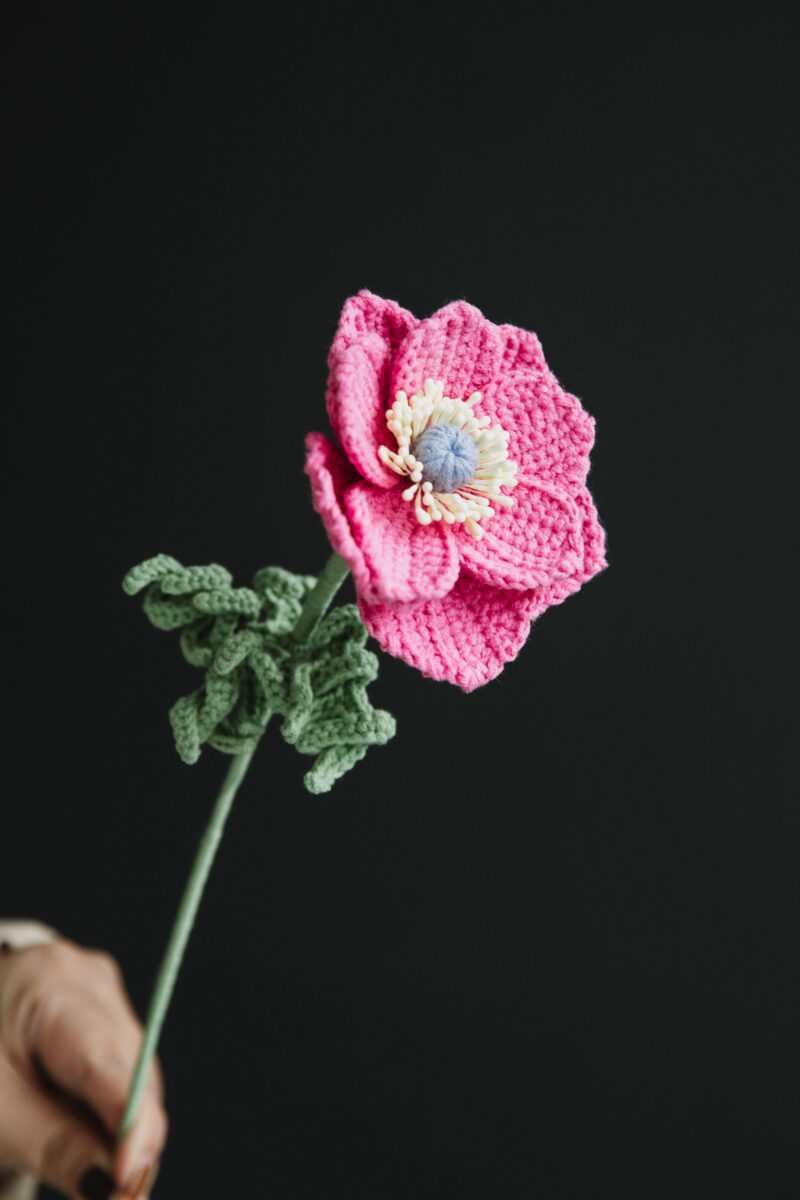 Crochet Anemone “The Bride” -hookok Crochet Anemone “The Bride” -hookok