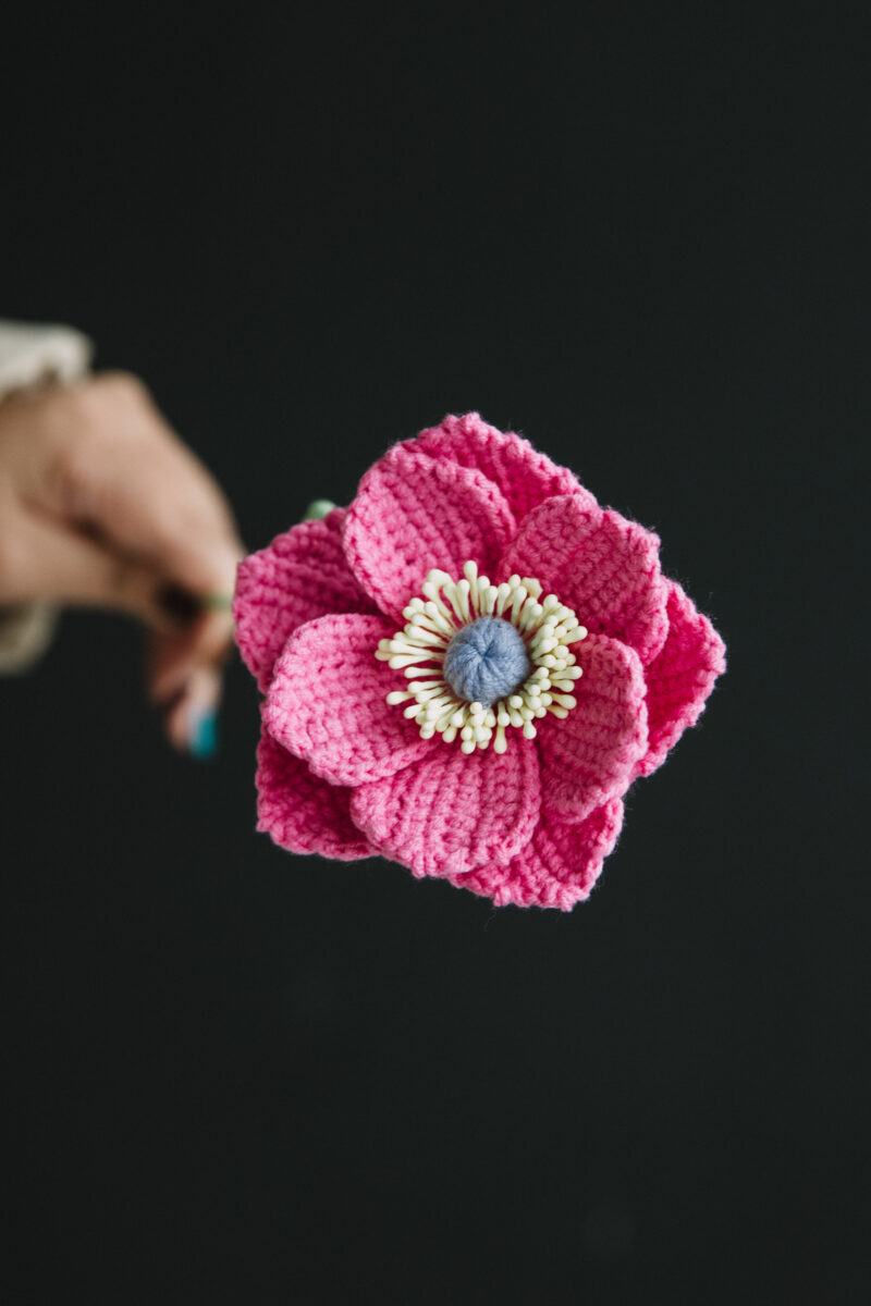 Crochet Anemone “The Bride” -hookok Crochet Anemone “The Bride” -hookok