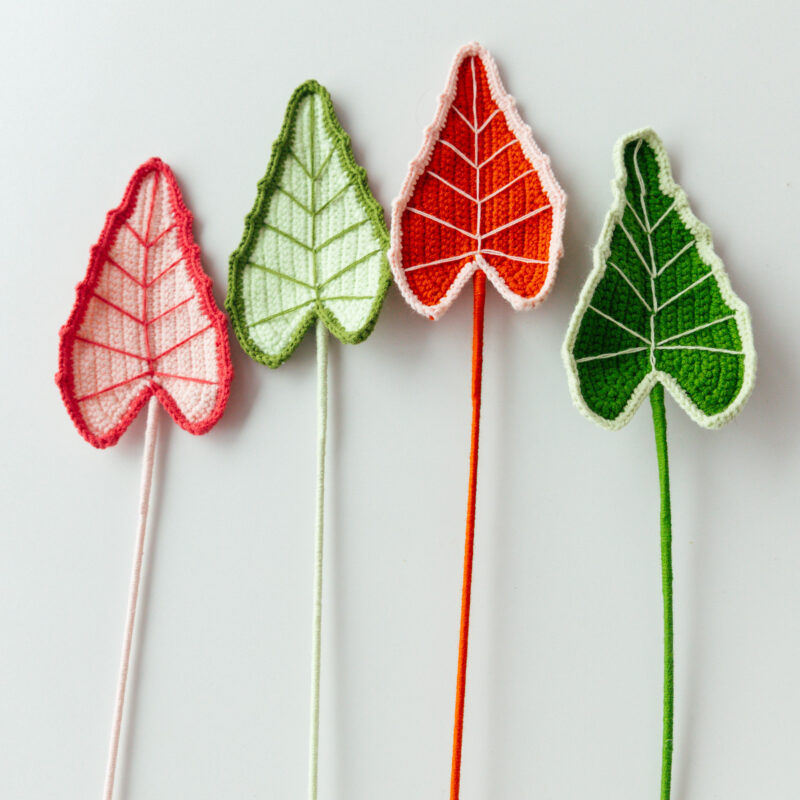 Alocasia Leaf-HOOKOK