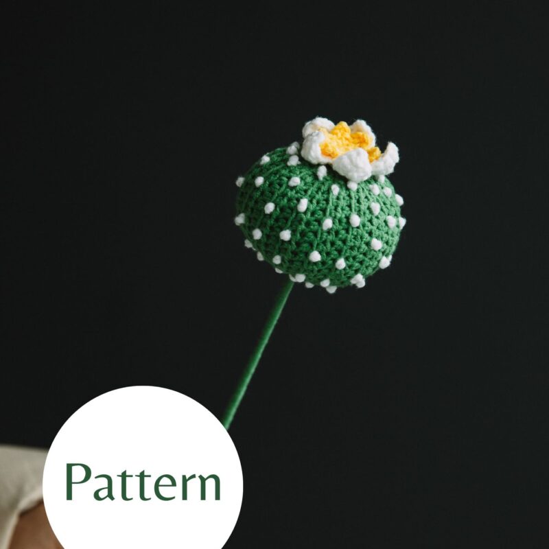 Crochet Ball Cactus-HOOKOK