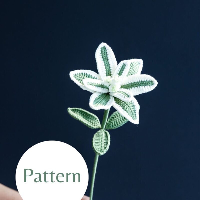 Euphorbia marginata (Snow on the mountain)-HOOKOK