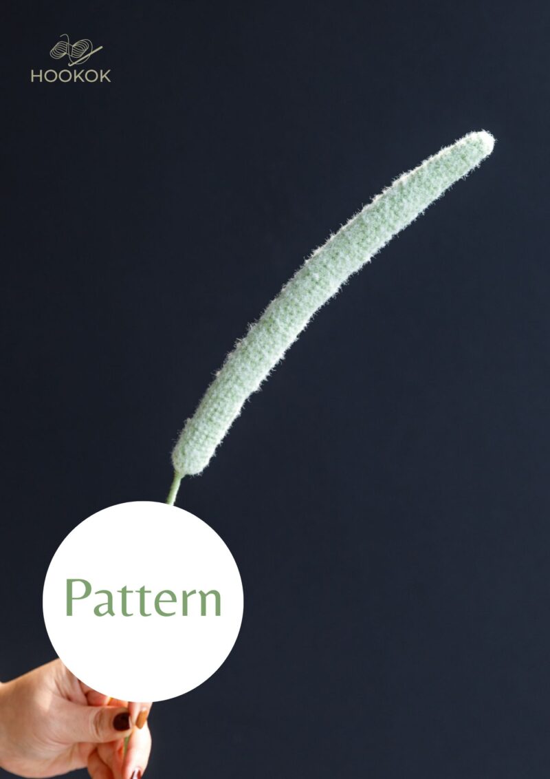 Monkey Tail Cactus-hookok