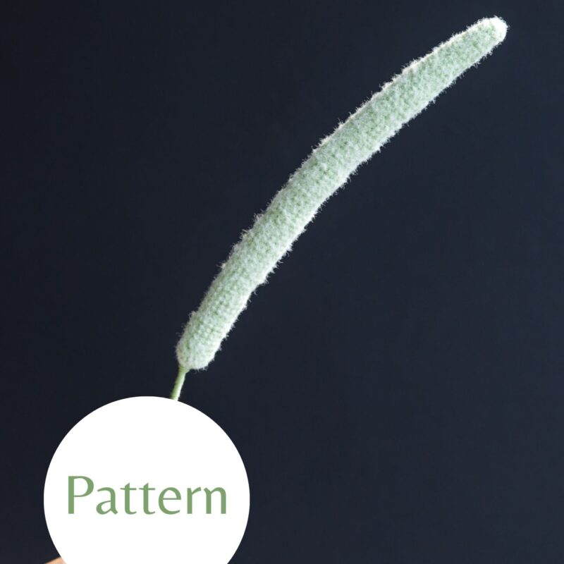 Monkey Tail Cactus-hookok