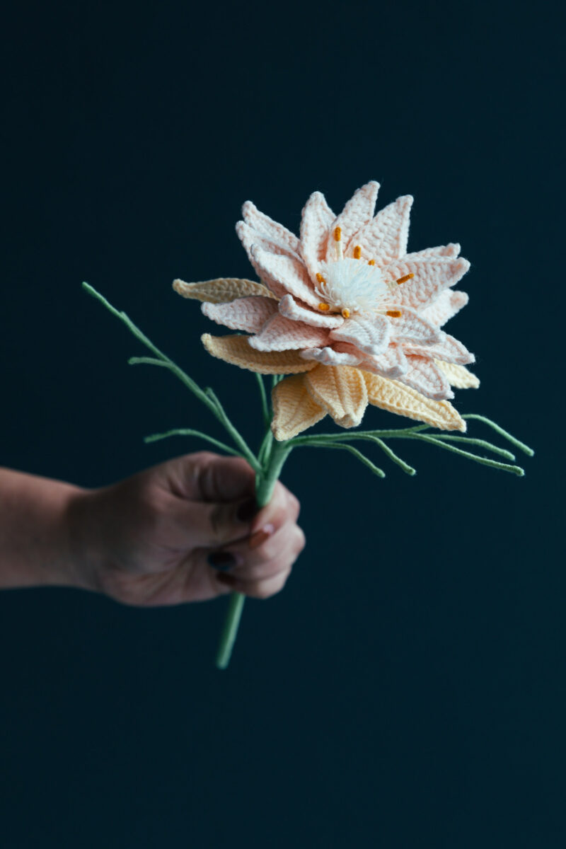 Crochet Blushing Bride Flower-hookok Crochet Blushing Bride Flower-hookok