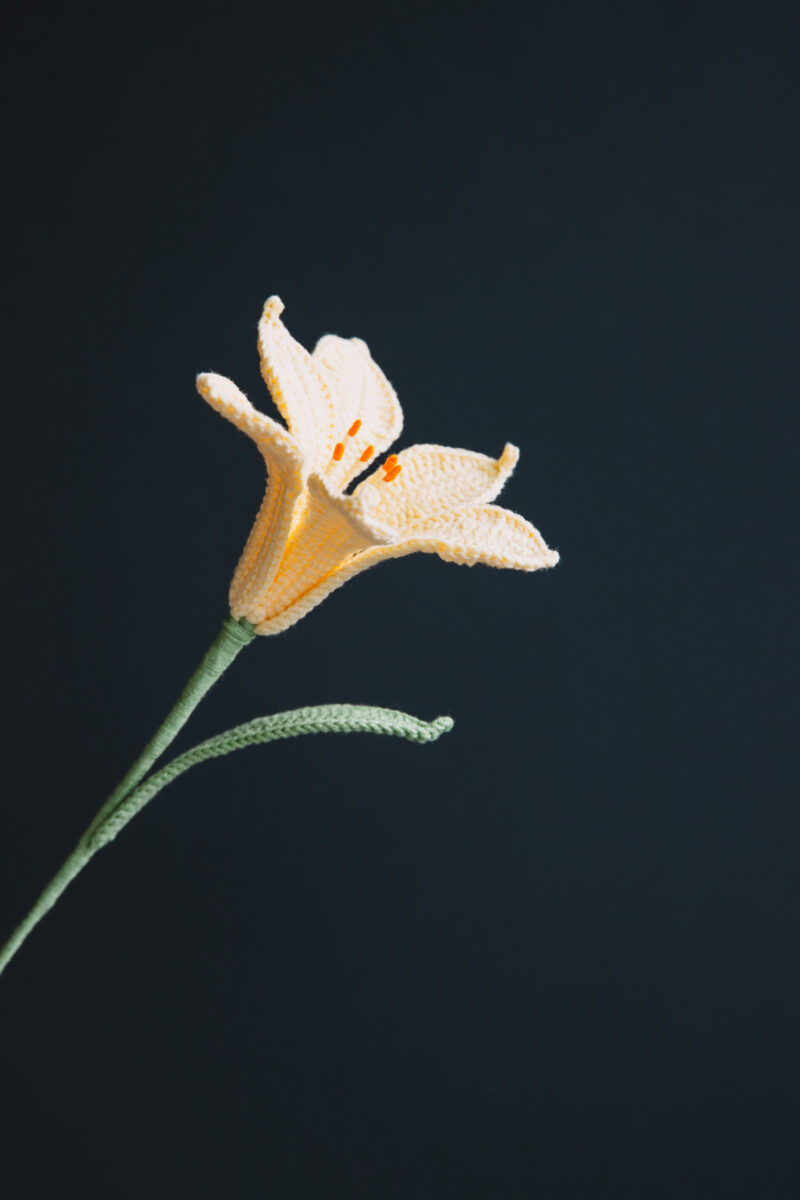 Crochet Peruvian Lily-hookok Crochet Peruvian Lily-hookok