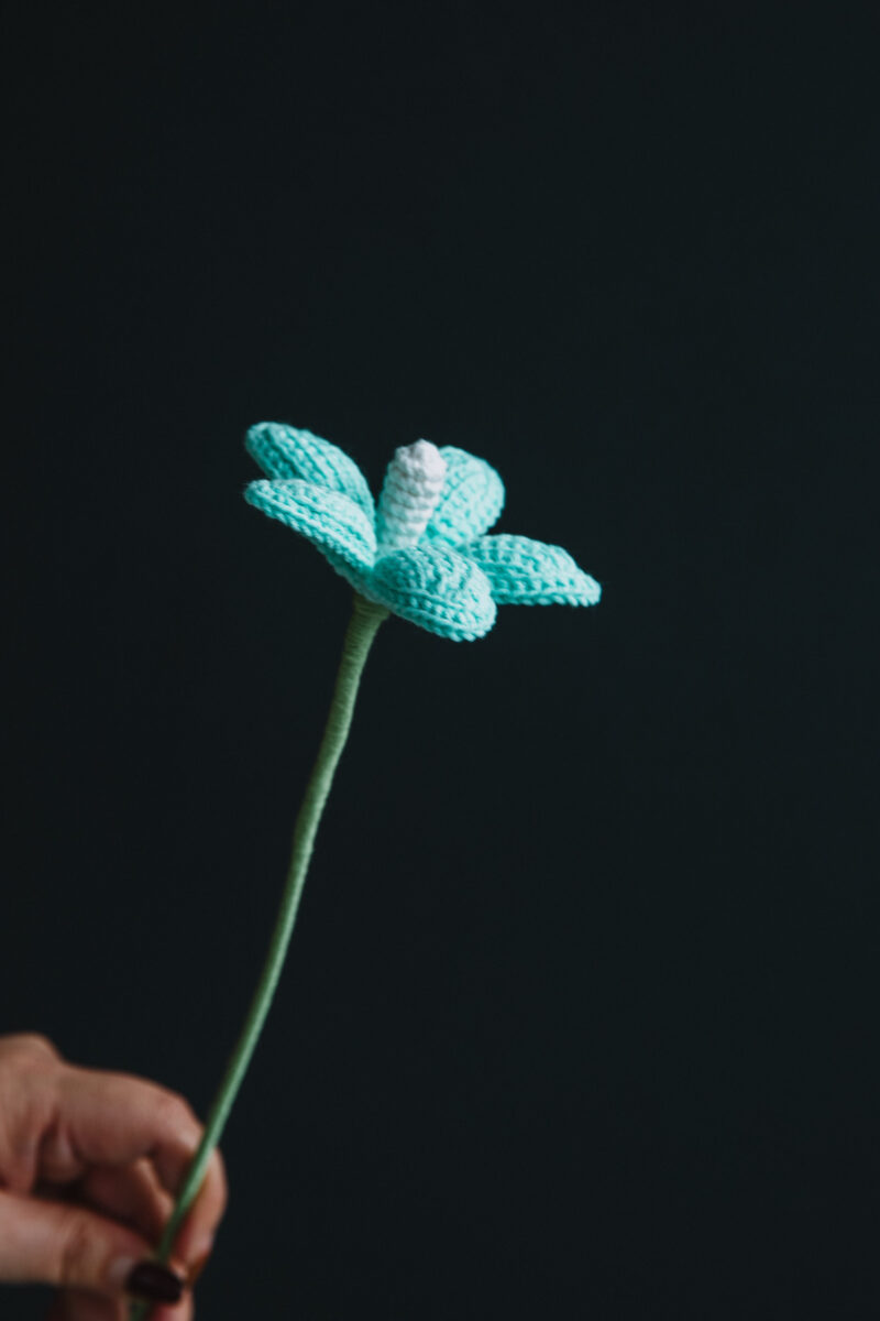 Crochet Plumeria Flower-hookok Crochet Plumeria Flower-hookok