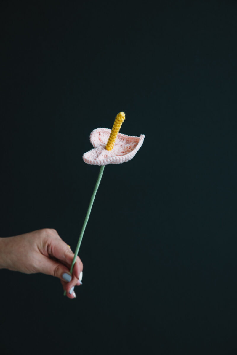 Crochet Simple Anthurium Flower-hookok Crochet Simple Anthurium Flower-hookok