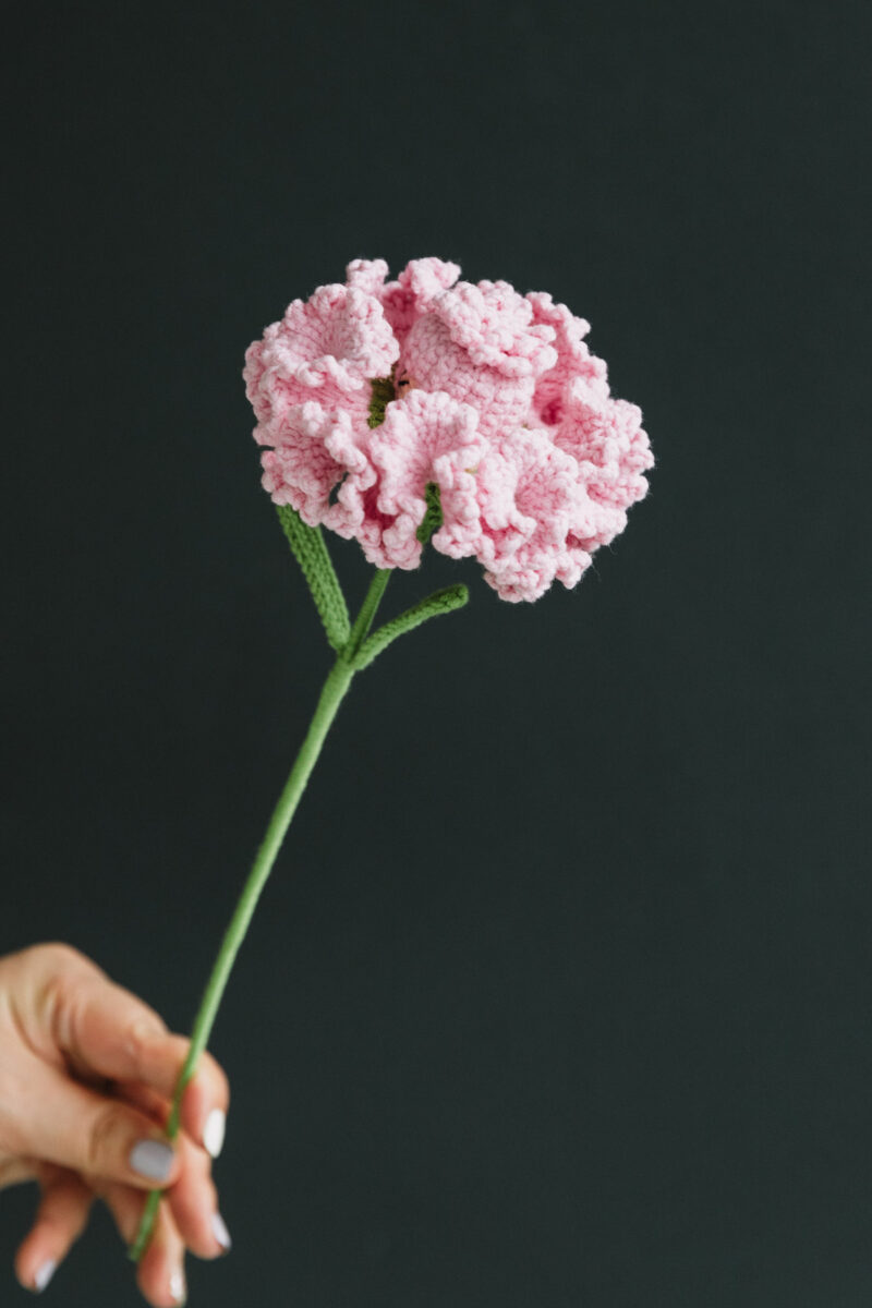 Reversible Carnation Fairy-hookok Reversible Carnation Fairy-hookok