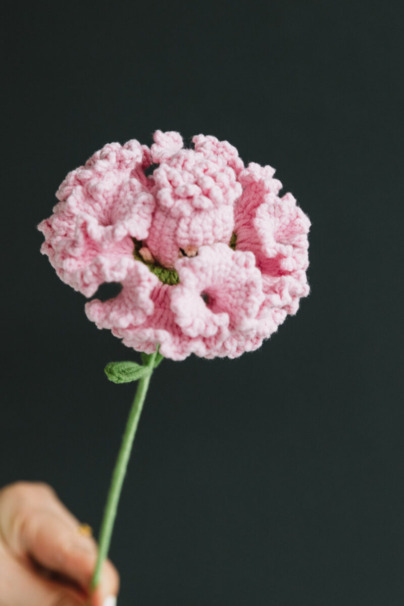 Reversible Carnation Fairy-hookok Reversible Carnation Fairy-hookok