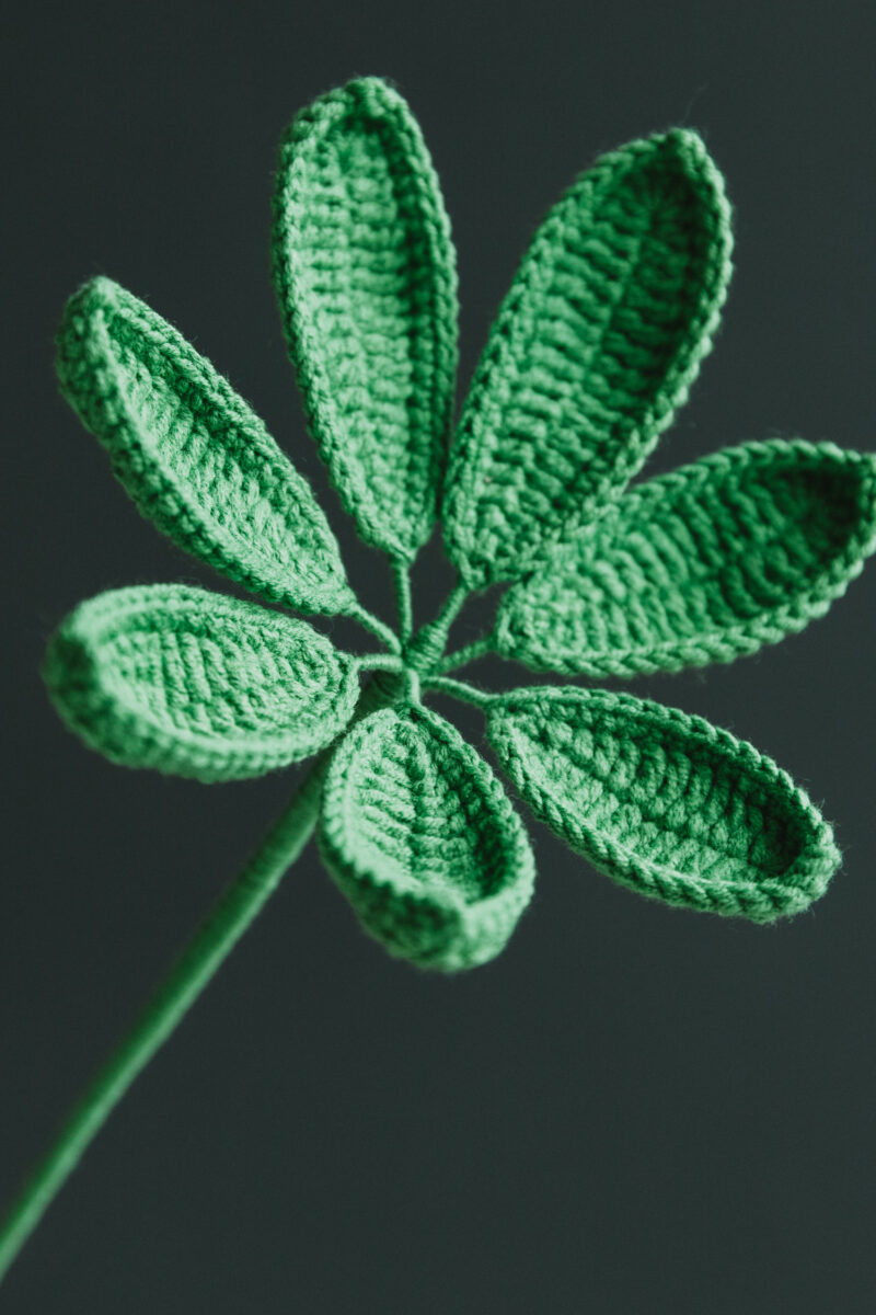 Crochet Schefflera-HOOKOK Crochet Schefflera-HOOKOK
