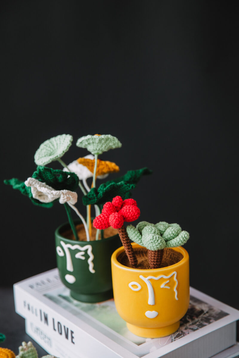 Crochet Table Plant PDF Pattern-hookok Crochet Table Plant PDF Pattern-hookok