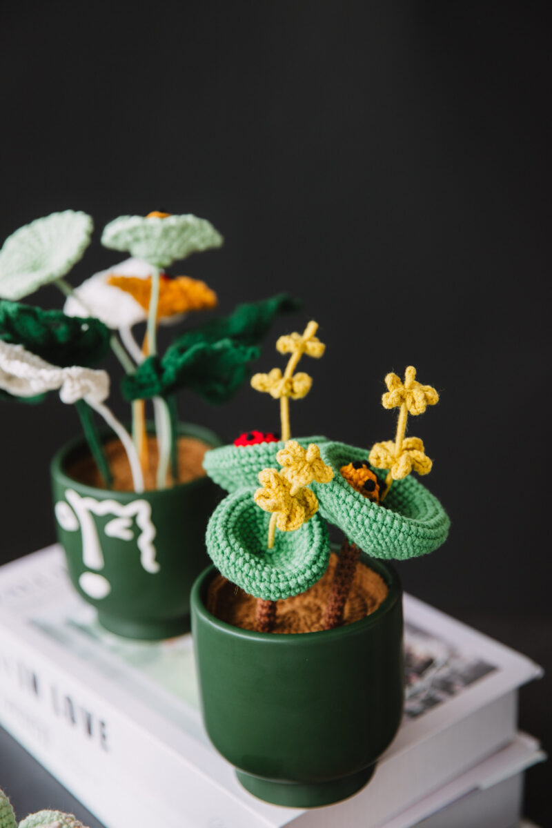 Crochet Table Plant PDF Pattern-hookok Crochet Table Plant PDF Pattern-hookok