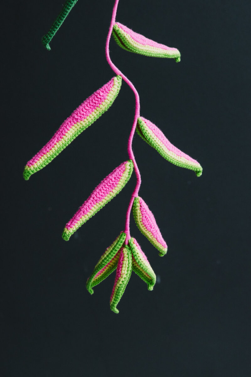 Crochet Heliconia-hookok Crochet Heliconia-hookok