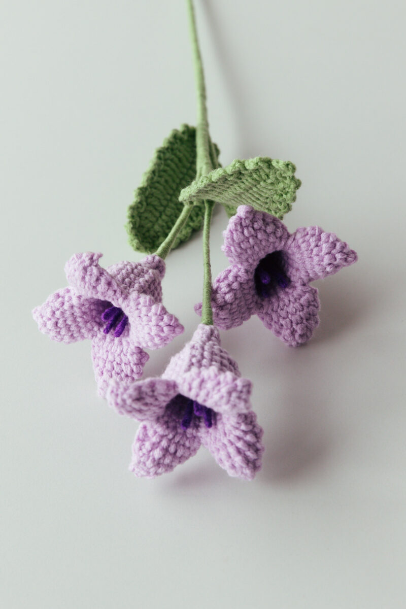 Crochet Bryophyllum Pinnatum Flower -HOOKOK Crochet Bryophyllum Pinnatum Flower -HOOKOK