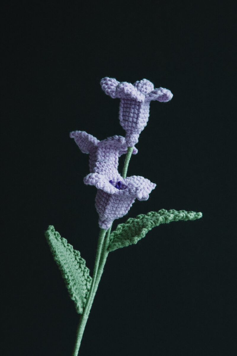 Crochet Bryophyllum Pinnatum Flower -HOOKOK Crochet Bryophyllum Pinnatum Flower -HOOKOK