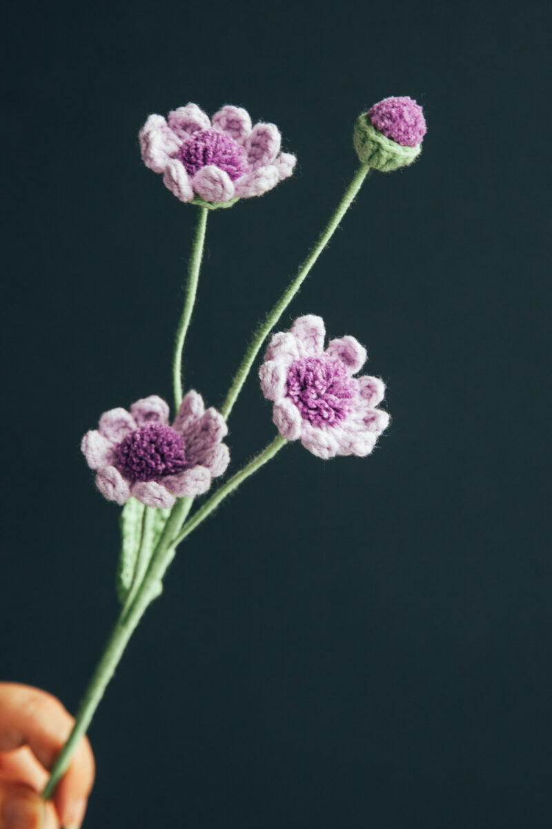 Crochet Roman Holiday Daisy-hookok Crochet Roman Holiday Daisy-hookok