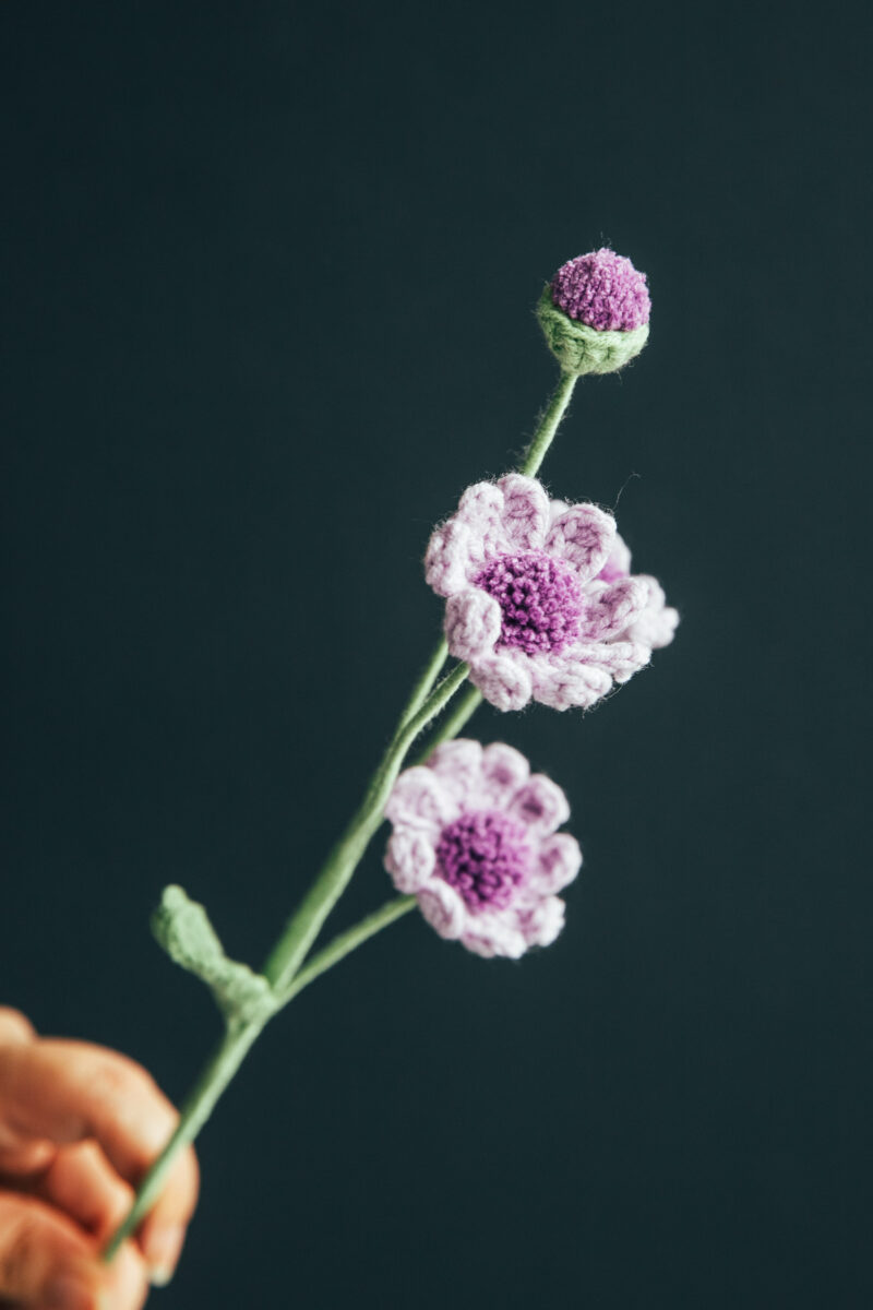 Crochet Roman Holiday Daisy-hookok Crochet Roman Holiday Daisy-hookok