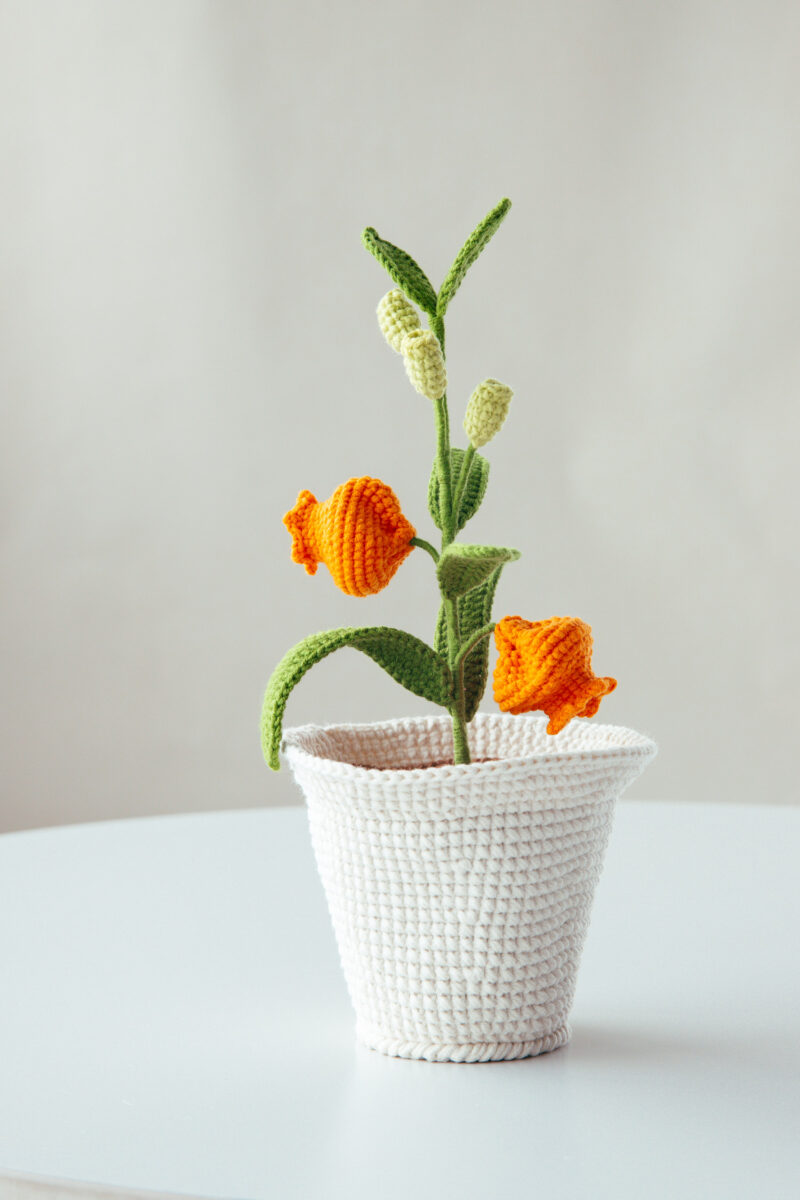 Chinese Lantern Lily Flower Pot-hookok Chinese Lantern Lily Flower Pot-hookok