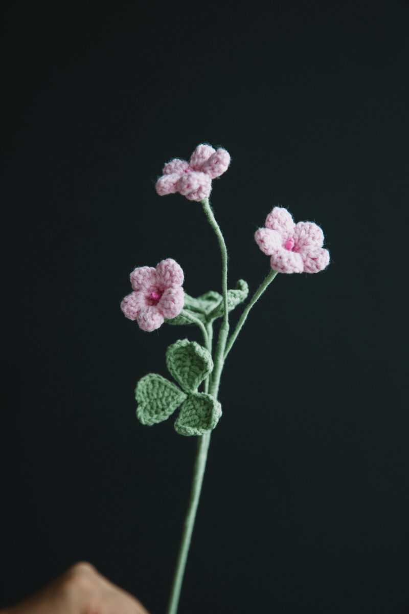 Wood Sorrel Flower-hookok Wood Sorrel Flower-hookok