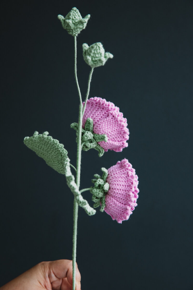 Crochet Double Hollyhock-HOOKOK Crochet Double Hollyhock-HOOKOK